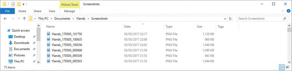 Yland F12 Screenshot File name format.jpg